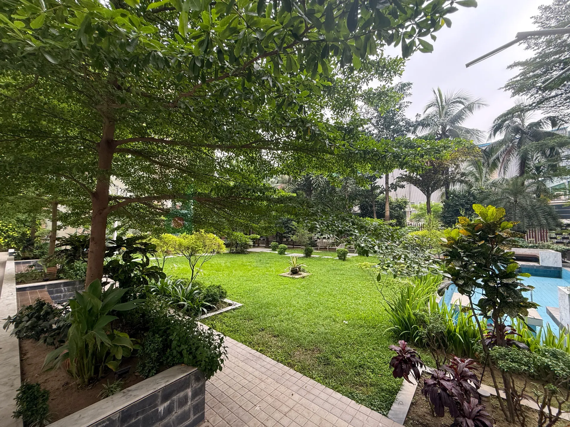 200SFT South-Facing Brand New Fully Furnished Apartment  Rent - Gallery Image