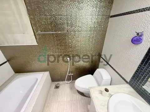 2300 SFT Luxurious Full Furnished BTI Developer Flat rent at 6th Floor only for Foreigner